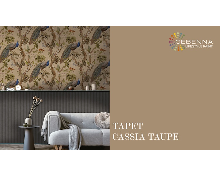 CASSIA TAUPE